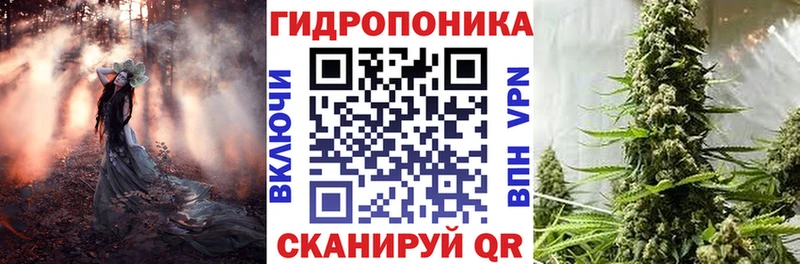 Каннабис индика  Купить где  Мурманск 